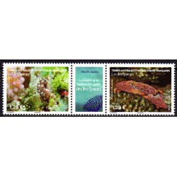 Timbres TAAF 2025 La beauté...