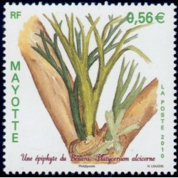 Timbre Mayotte n°236