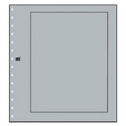 Feuilles neutres Grise avec...