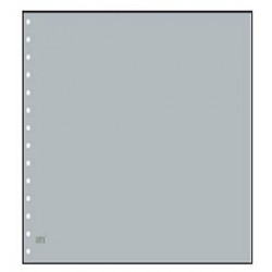 Feuilles neutres Grise unie...