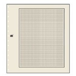 Feuilles neutres Chamois clair quadrillée 781 - SAFE