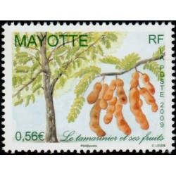 Timbre Mayotte n°223