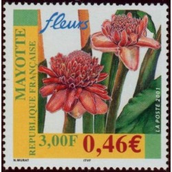 Timbre Mayotte n°107