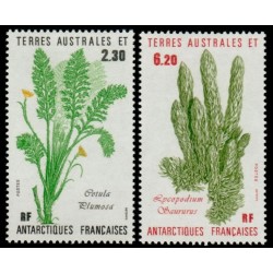 Timbres TAAF n°118 et 119