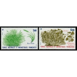 Timbres TAAF n°125 et 126