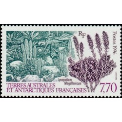 Timbres TAAF n°209