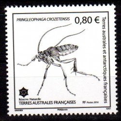 Timbre TAAF n°766 Insecte...